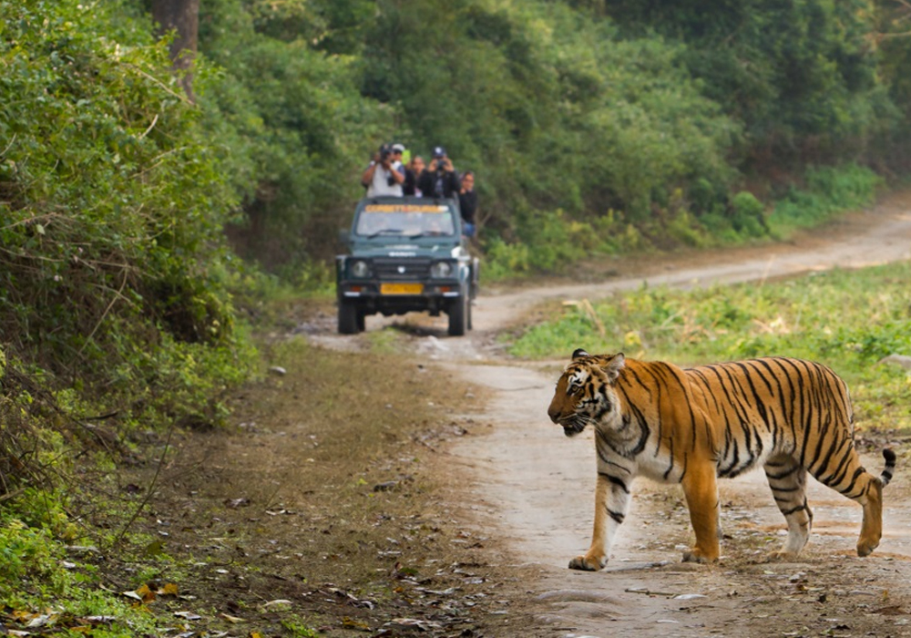 Jim Corbett