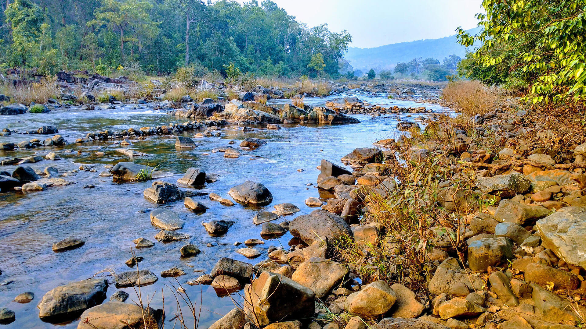 Simlipal National Park - History, Location, Details, Ticket Price ...