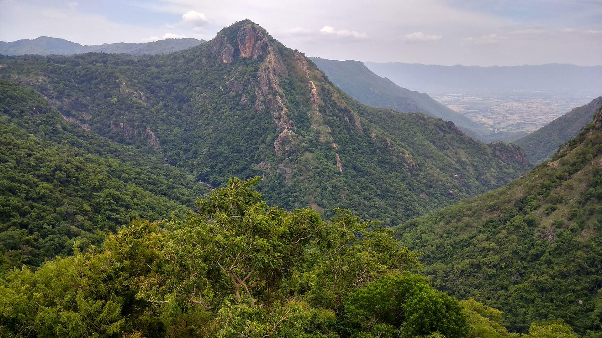 Kolli Hills - History, Things to Do, Location, Best Time to Visit | Adotrip