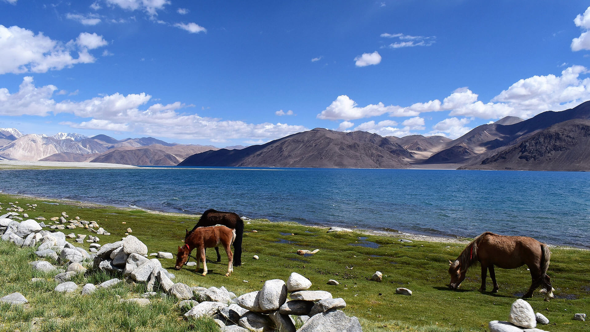 Pangong Lake : History, Location, Distance, Things to Do, Hotels | Adotrip