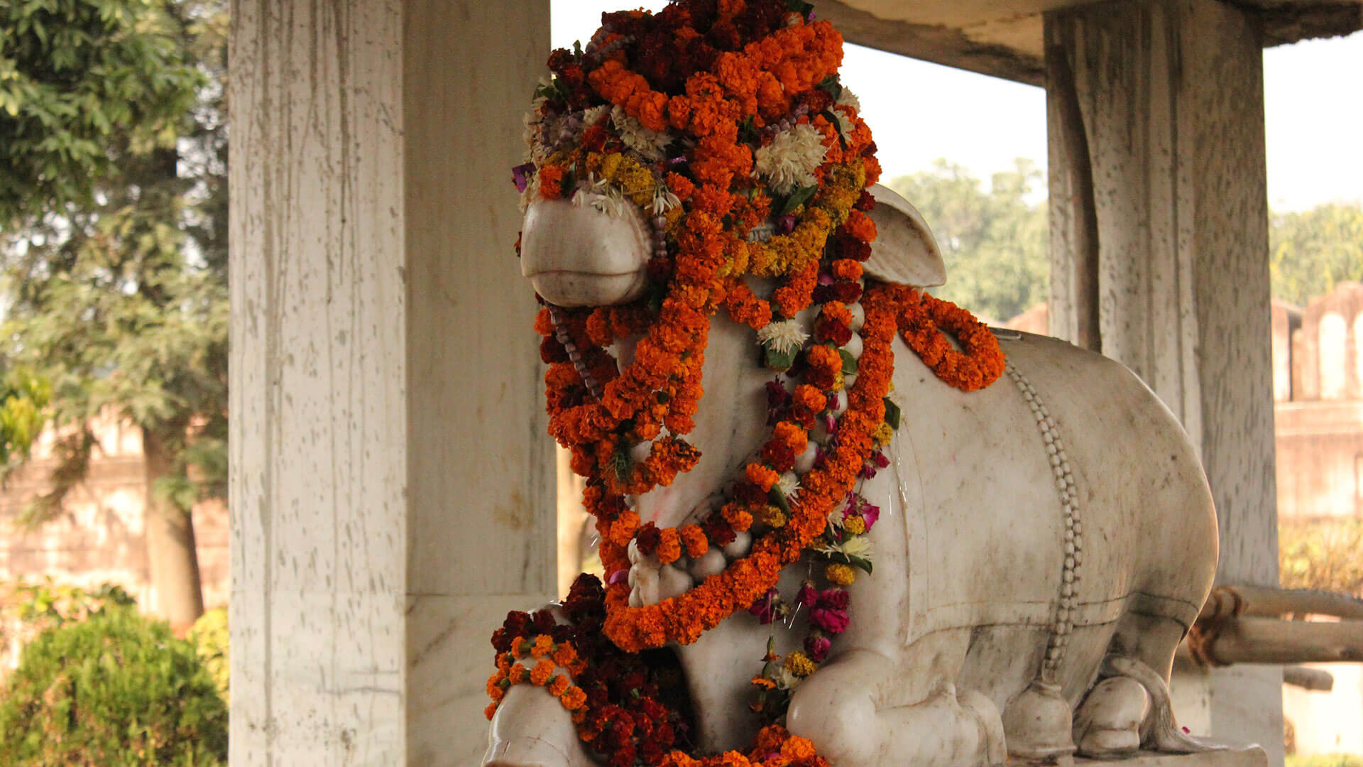 New Vishwanath Temple Bhu - History, Timings, Story, Location 