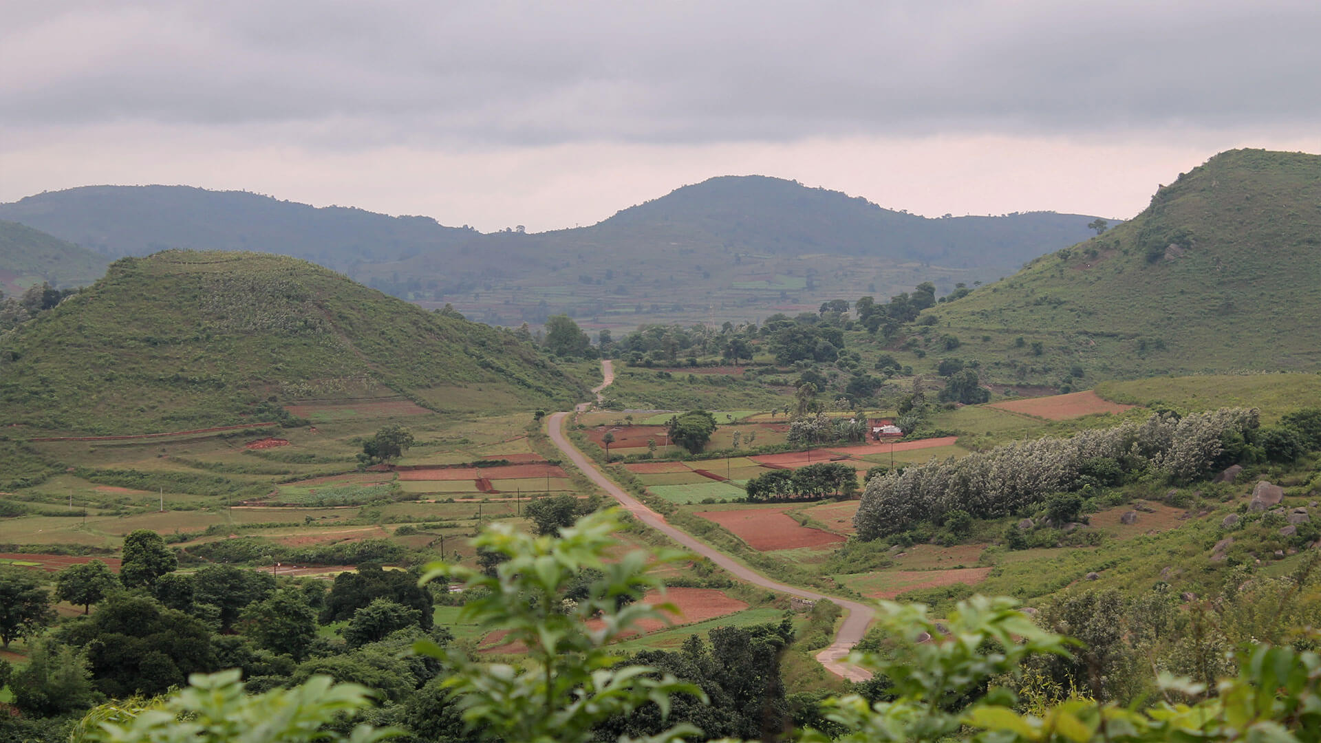 Araku Valley Tourism, Tourist Places in Araku Valley - Adotrip