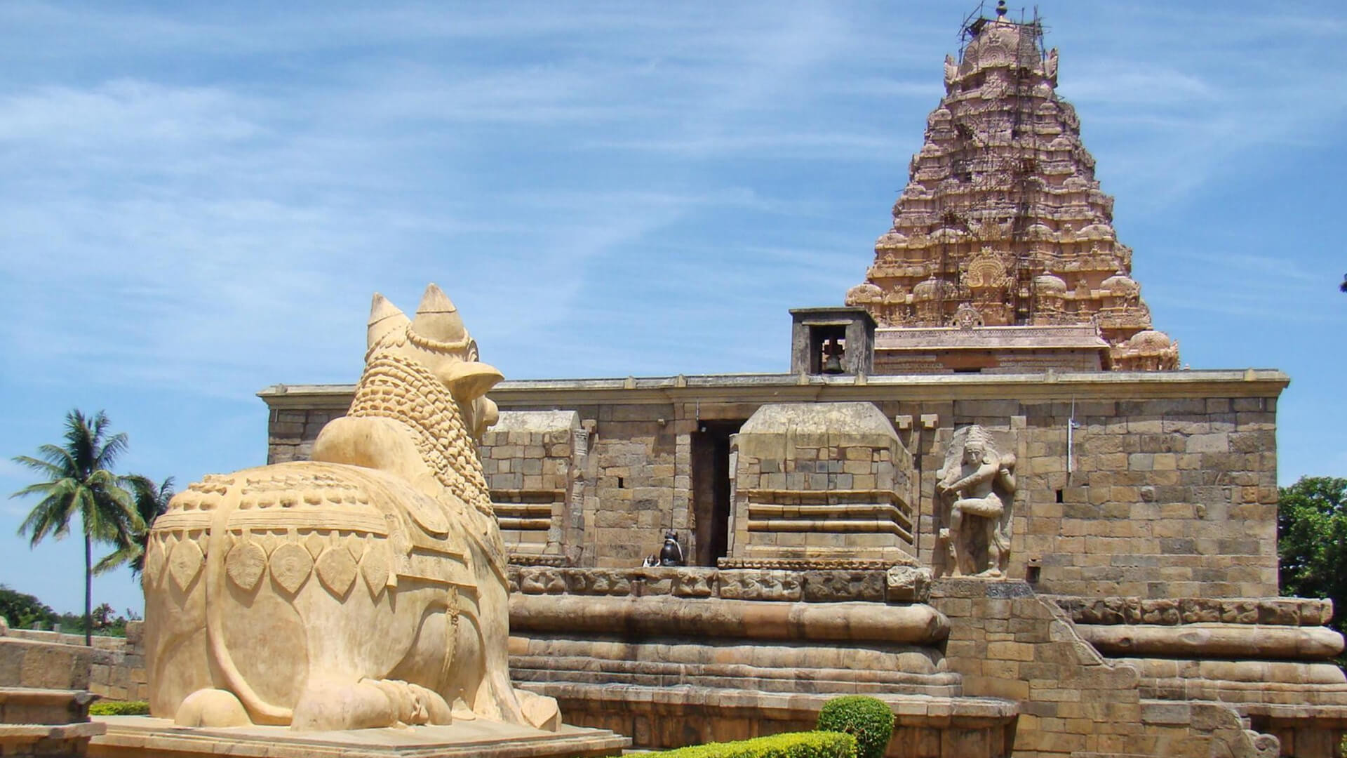 Dog Temple India