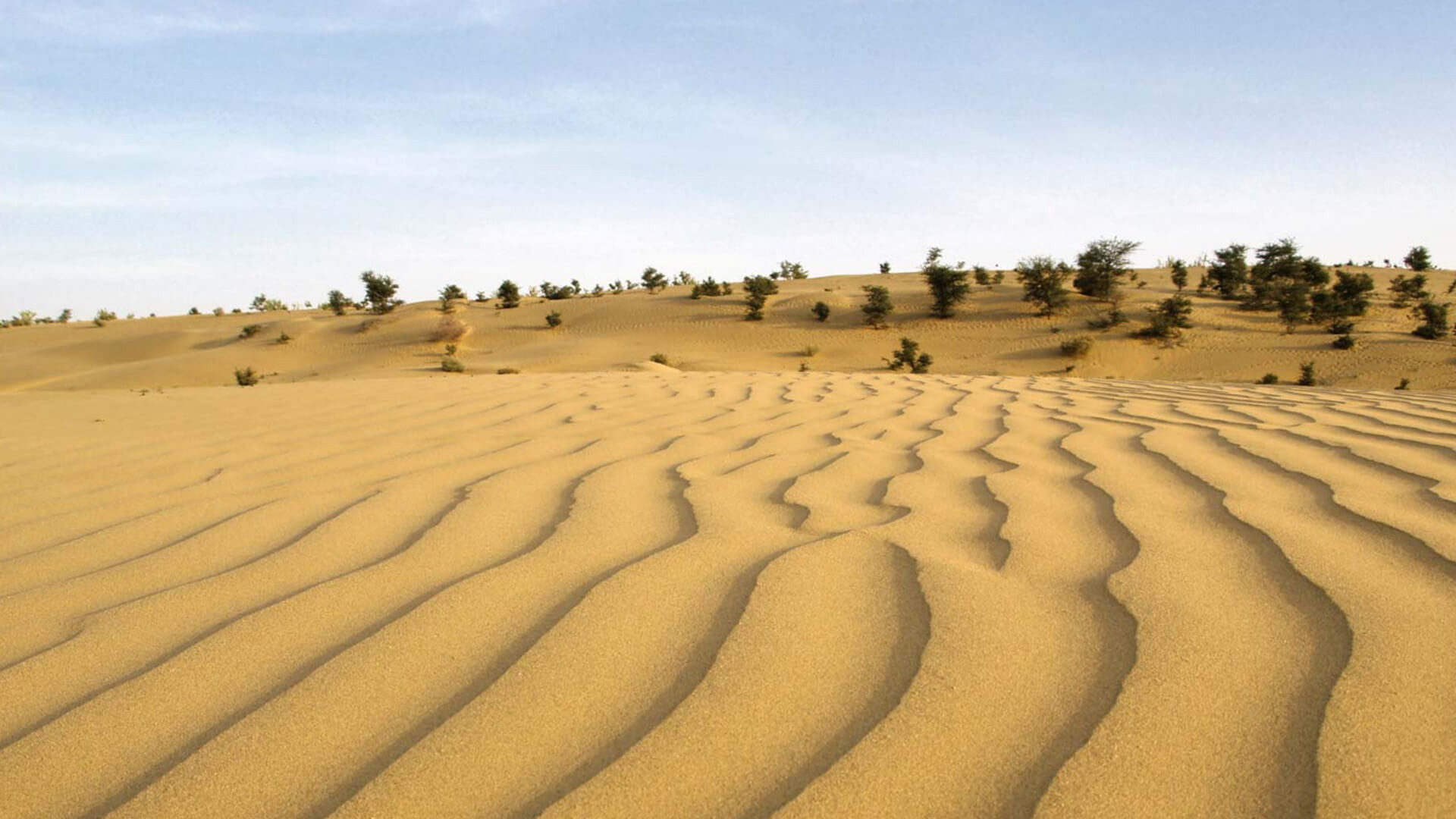 Thar Desert Wikipedia, 54% OFF | www.elevate.in