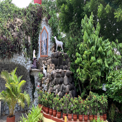 Basilica of Sacred Heart of Jesus | Puducherry Tourism | Adotrip