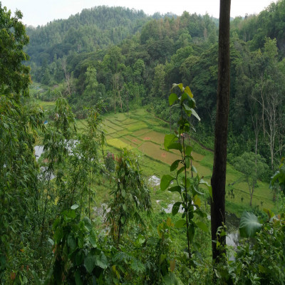 Dumboor Lake : Stunning views and Peaceful Atmosphere