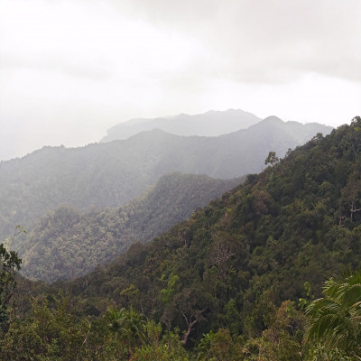 Saddle Peak National Park - History, Location, Details, Ticket Price ...