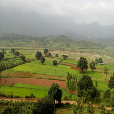 Araku Valley - History, Things to Do, Location, Best Time to Visit ...