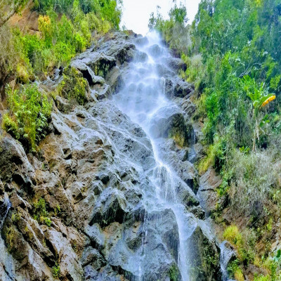 Katiki Waterfalls - Location, Photos, Timings, How to Reach | Adotrip