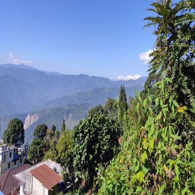 Kurseong - History, Sightseeing, Things To Do, Hotel 