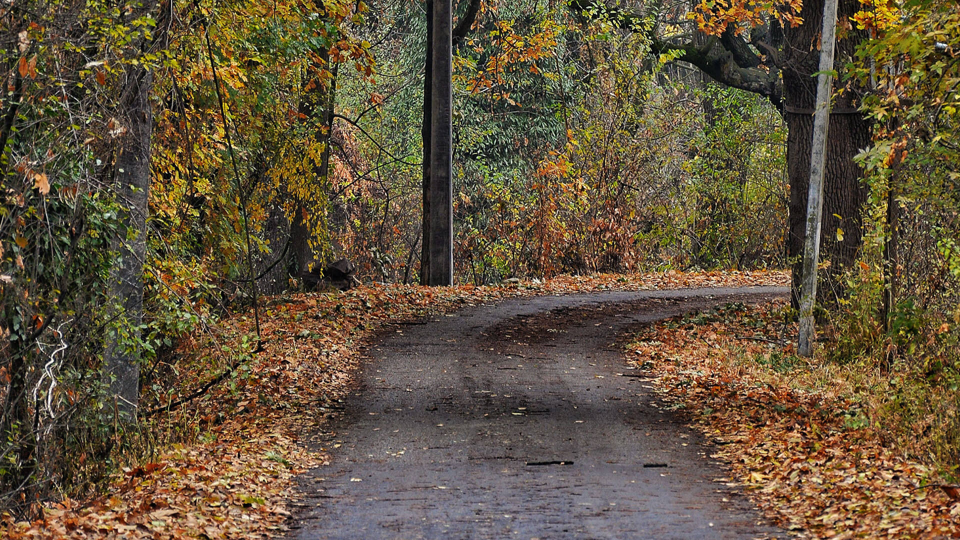 Dachigam_Attractions