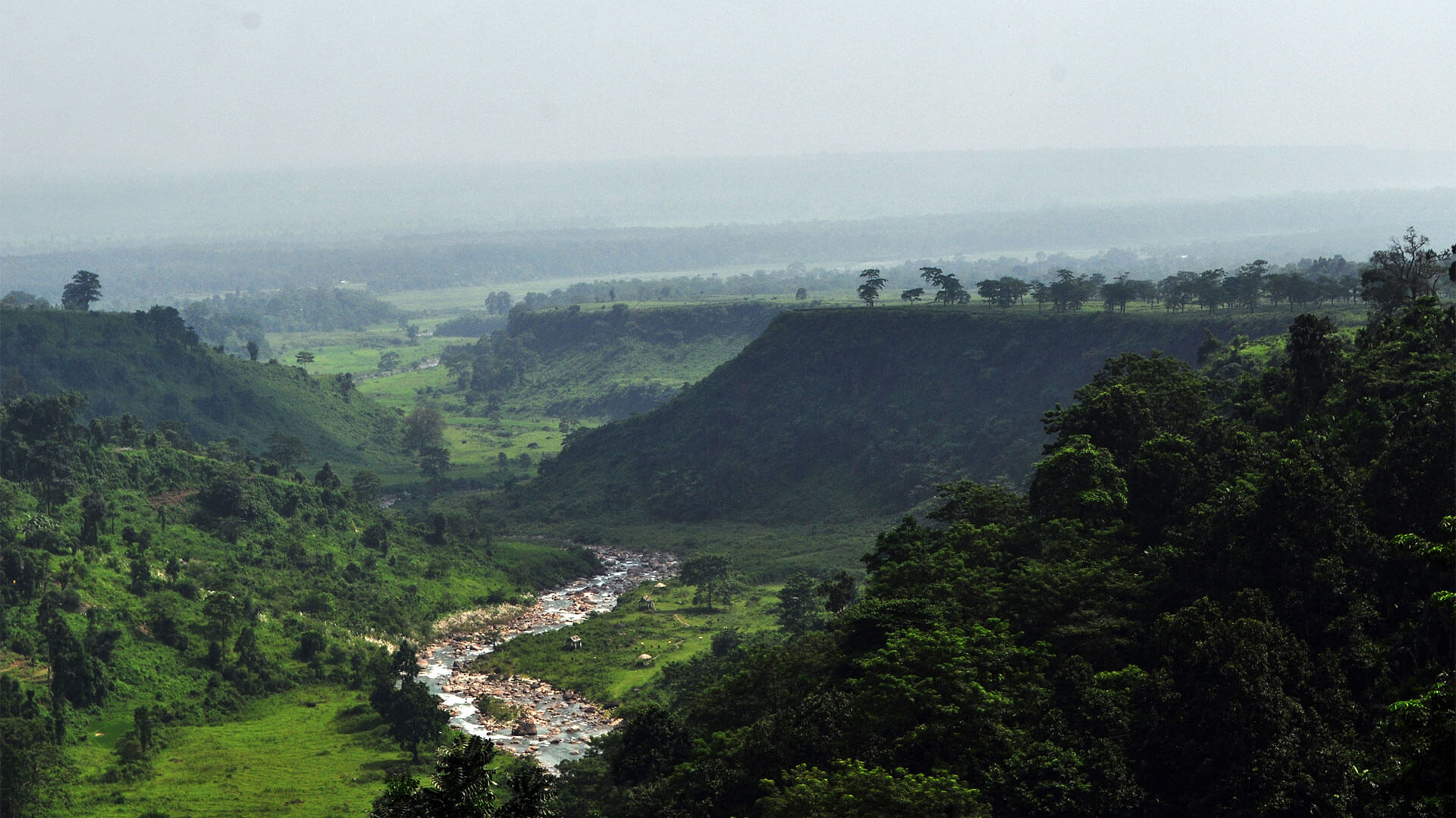 Chilapata_Forests_Siliguri_Sightseeing