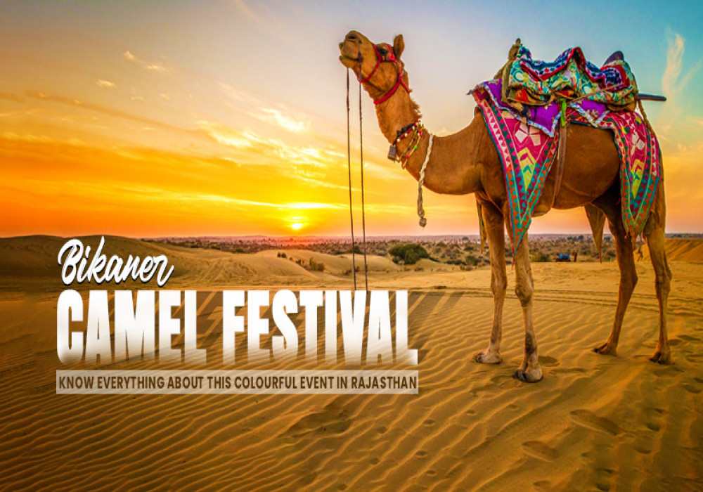 Discover Everything About Bikaner Camel Festival In Rajasthan That Is A Sight To Behold