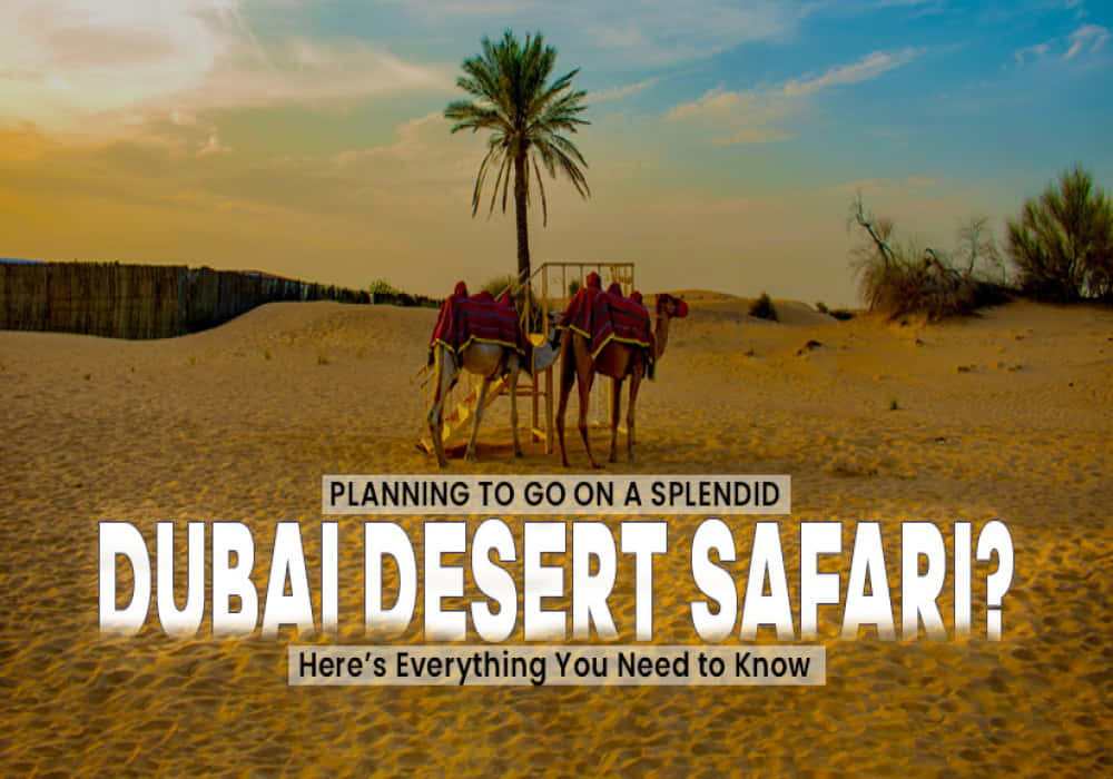 Desert_Safari_In_Dubai