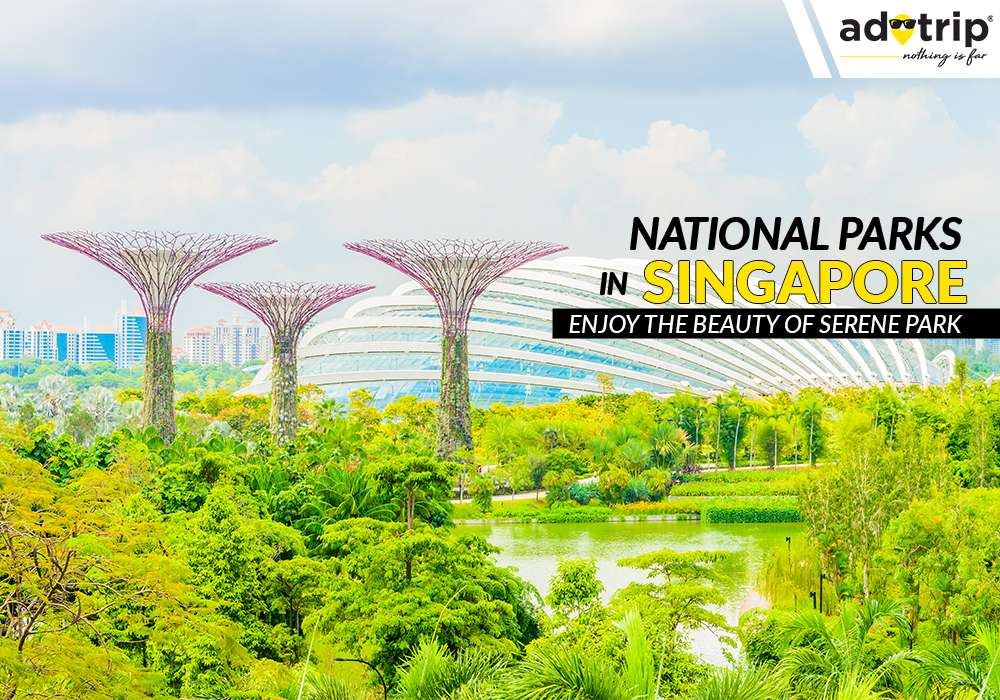 National Parks In Singapore