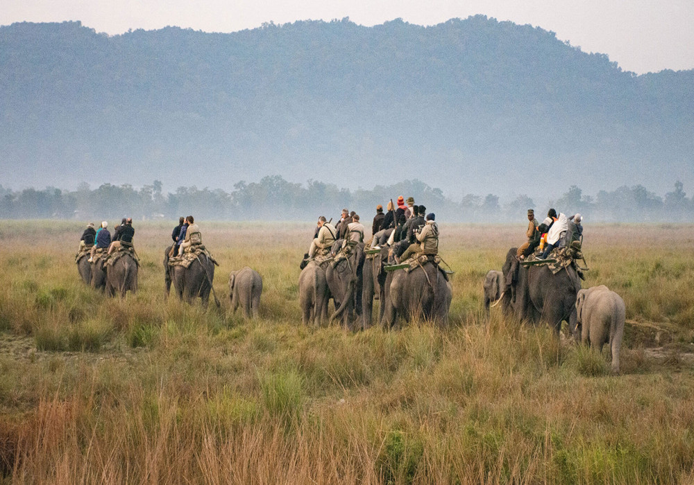 Nagaon : History, Sightseeing, How To Reach & Best Time To Visit | Adotrip