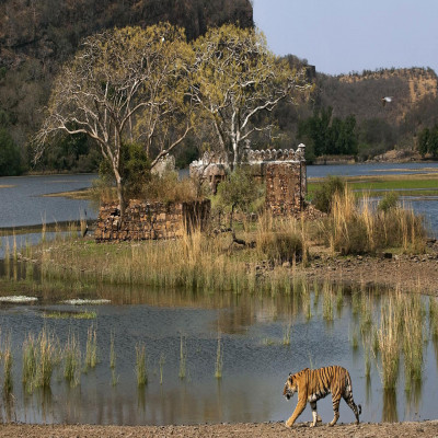 Sawai Madhopur : History, Sightseeing, How To Reach & Best Time To ...