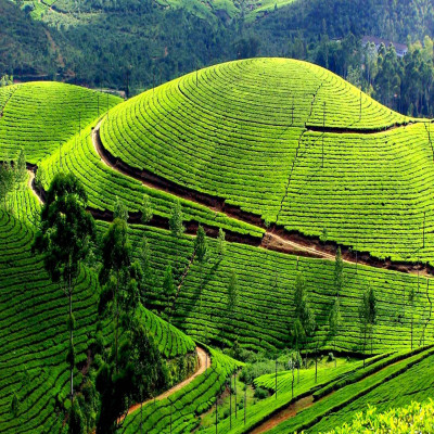 Idukki : History, Sightseeing, How To Reach & Best Time To Visit | Adotrip