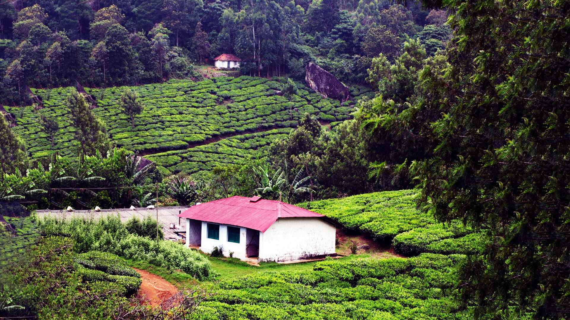 Wayanad