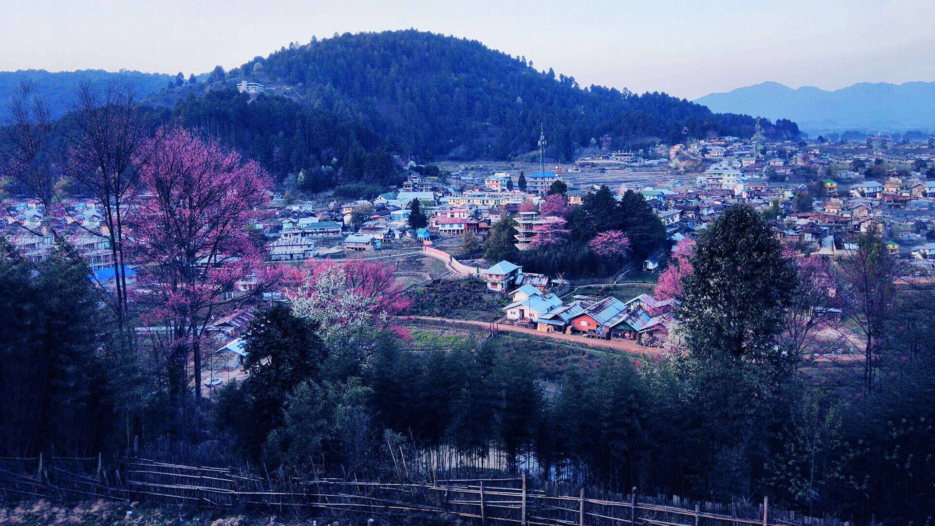 Ziro