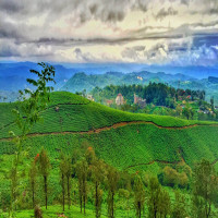 Munnar Travel Guide | Places to Visit in Munnar | Adotrip