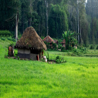 Wayanad, Wayanad Tourism, Wayanad Tourist Attractions - Adotrip