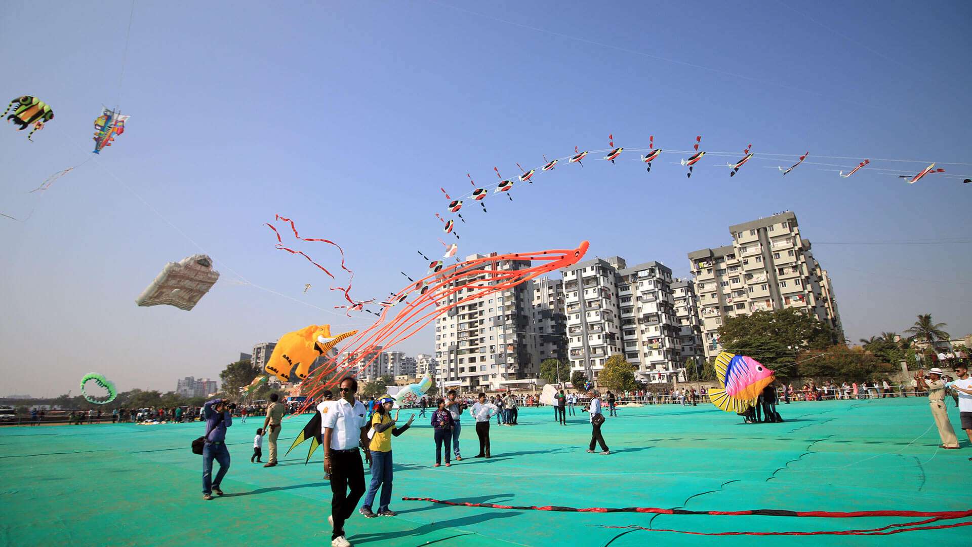 International Kite Festival 2024 - Dates, History, Major Attractions ...