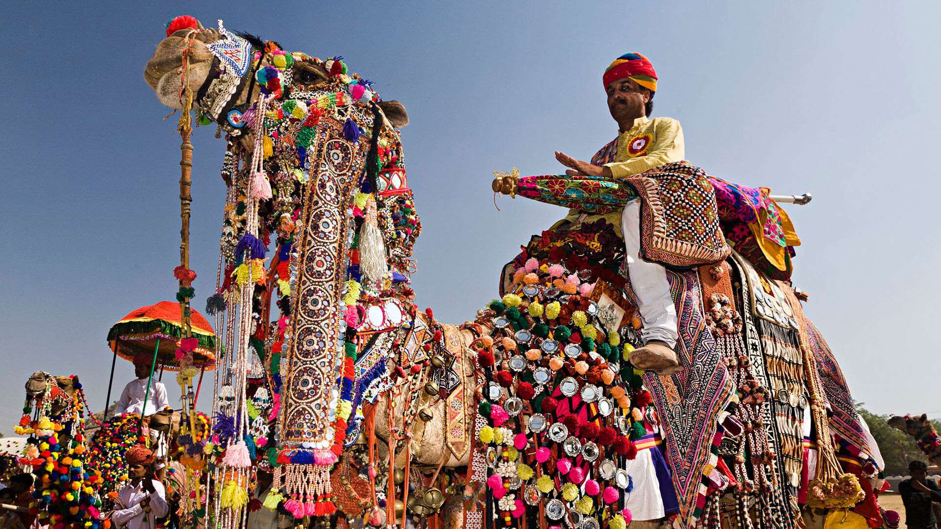 Pushkar Camel Fair 2024 - Dates, History, Major Attraction