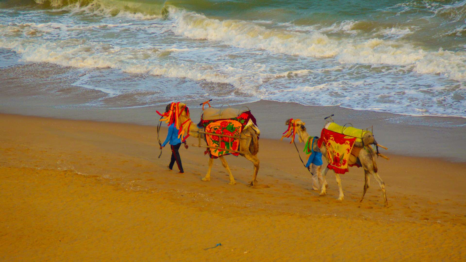 Puri Beach Festival 2024 - Art, Culture, Food & Traditions