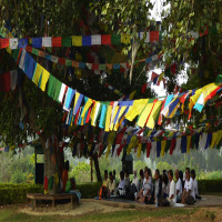 Lumbini_Festival_Attractions