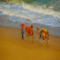 Puri_Beach_Festival_Attractions_5